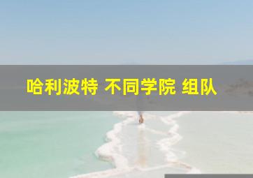 哈利波特 不同学院 组队